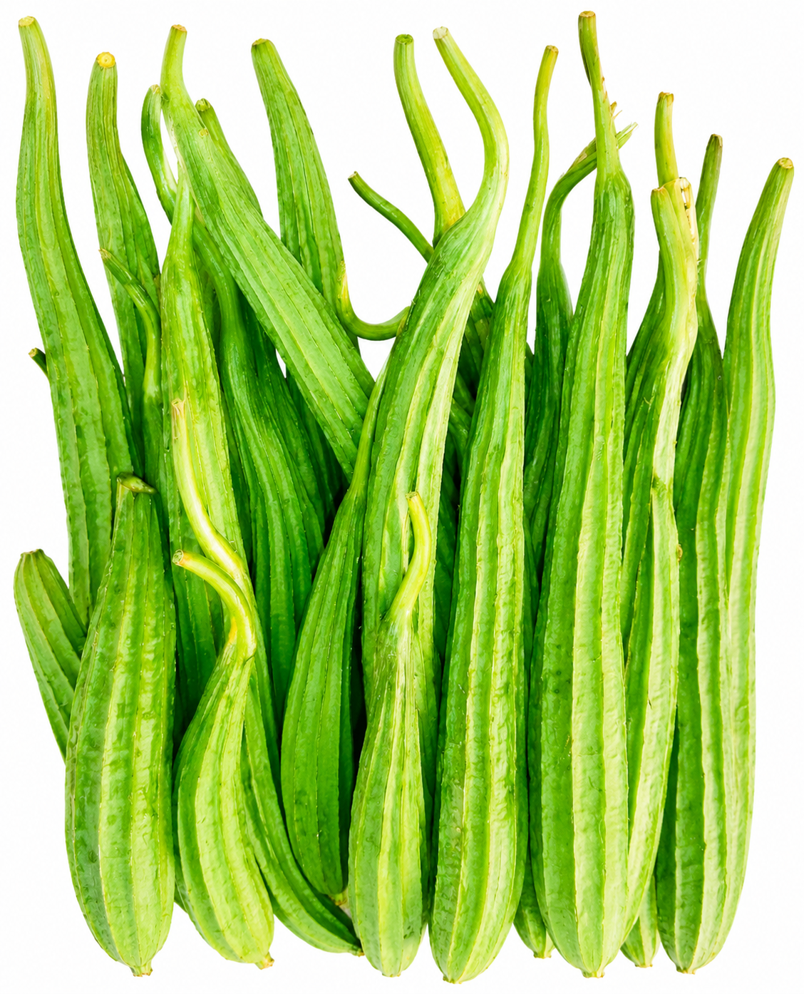 Pahari Jhinga